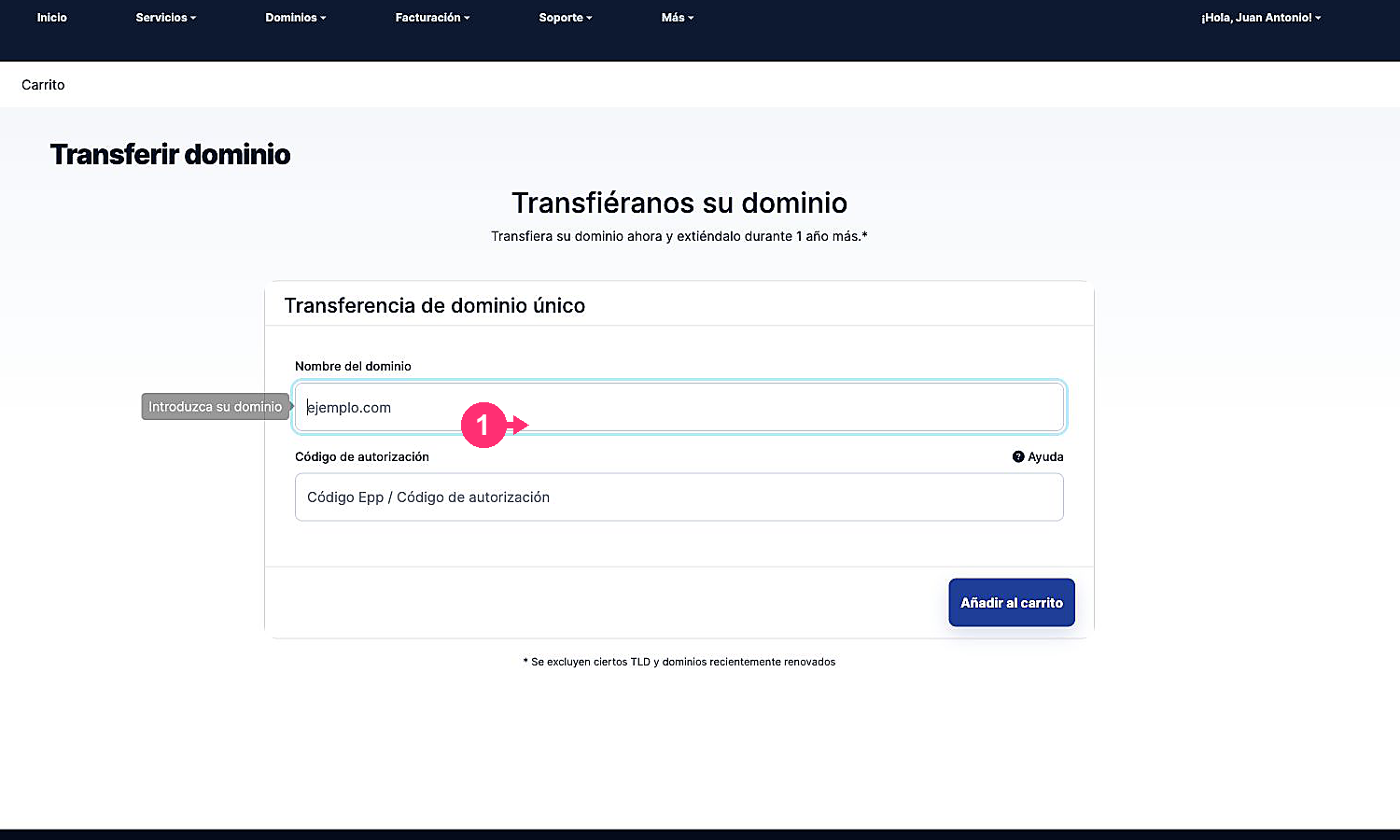 Formulario actual para iniciar una transferencia de dominio