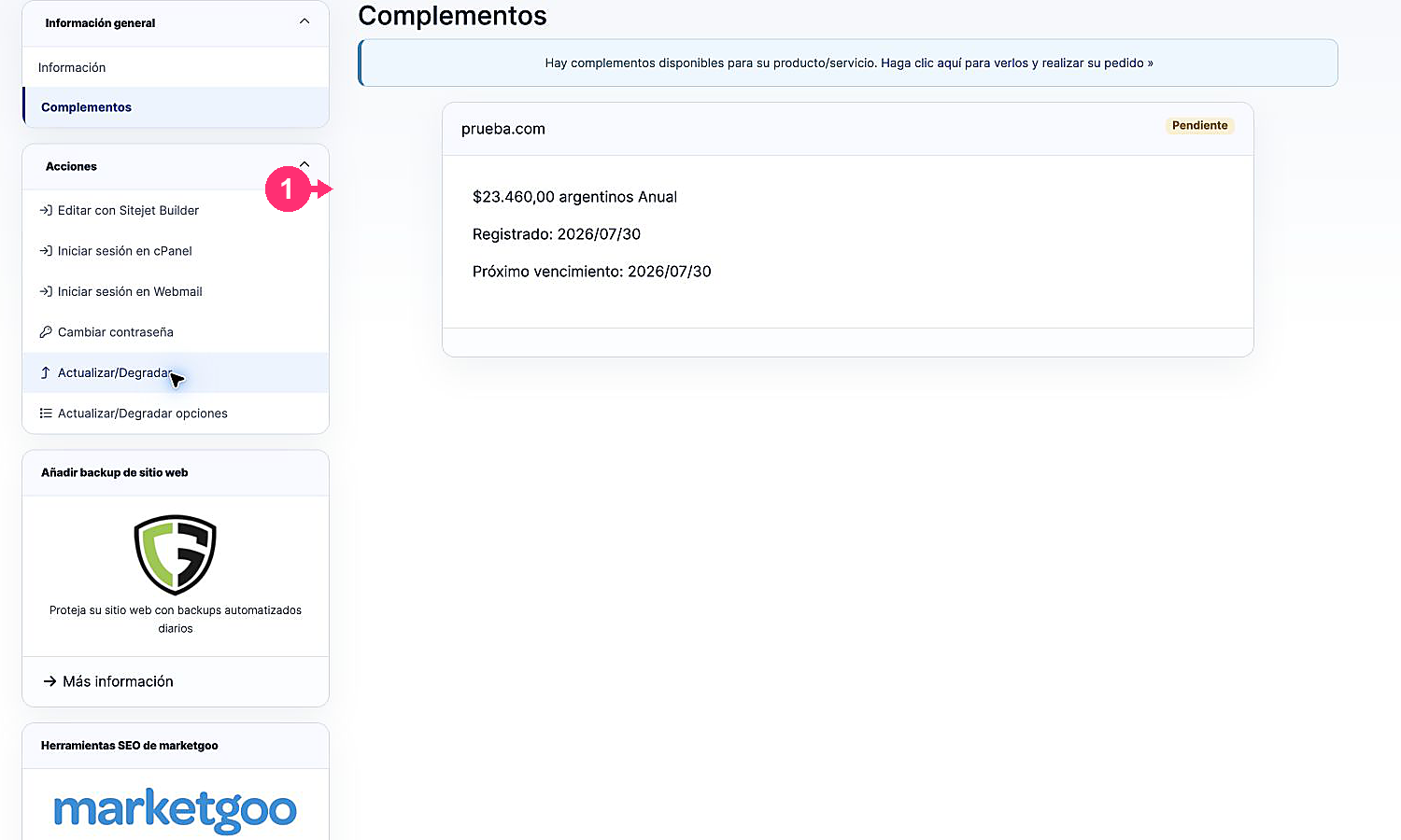 Pestaña Complementos con un complemento asociado al servicio